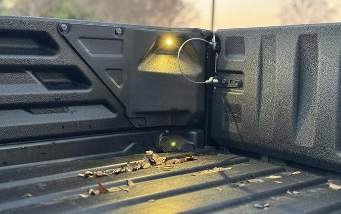 2025 Honda® Pioneer 700 Forest