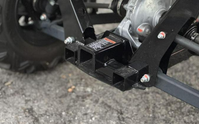 2025 Honda® Pioneer 700 Forest