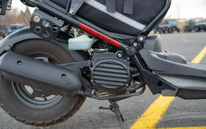 2014 Honda Ruckus