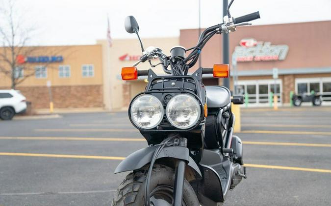 2014 Honda Ruckus