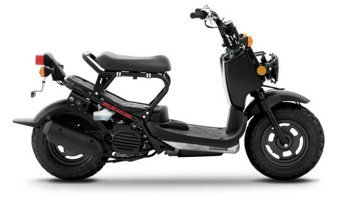 2014 Honda Ruckus