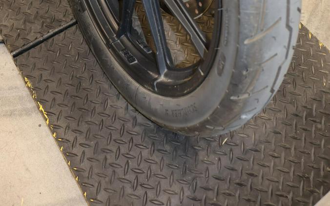 2021 Harley-Davidson Iron 1200 XL1200NS