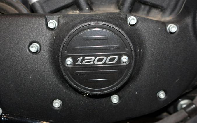 2021 Harley-Davidson Iron 1200 XL1200NS