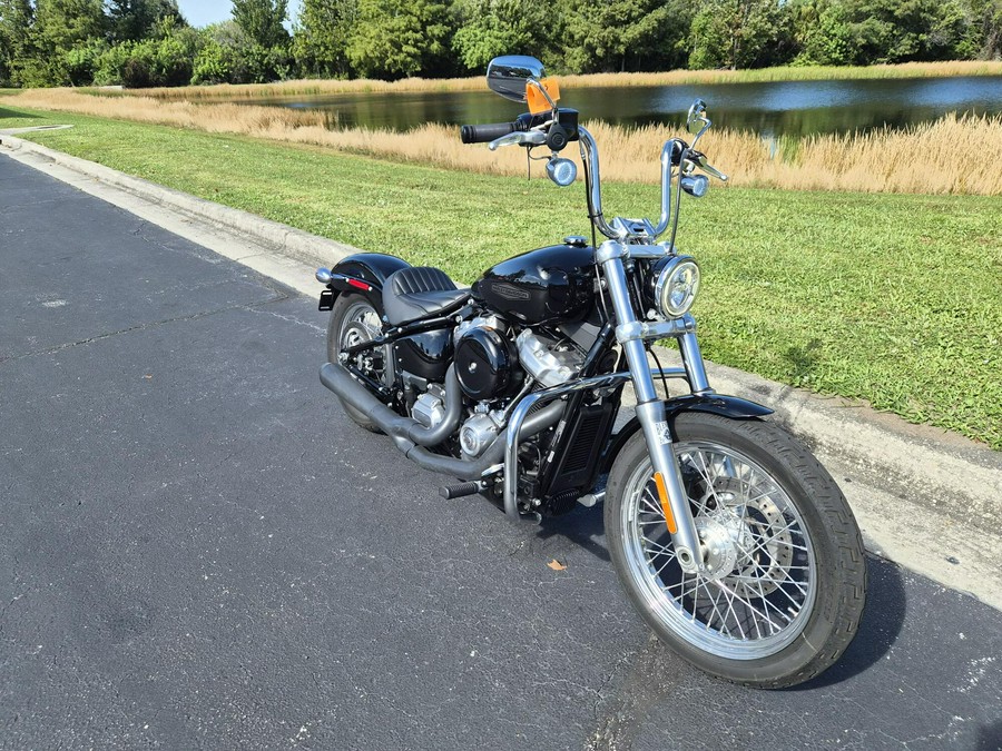 FXST 2020 Softail Standard