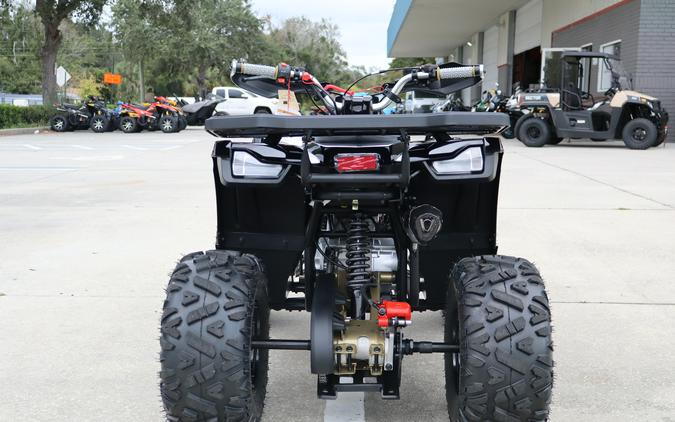 2026 Denago Powersports Mudhawk 10FI