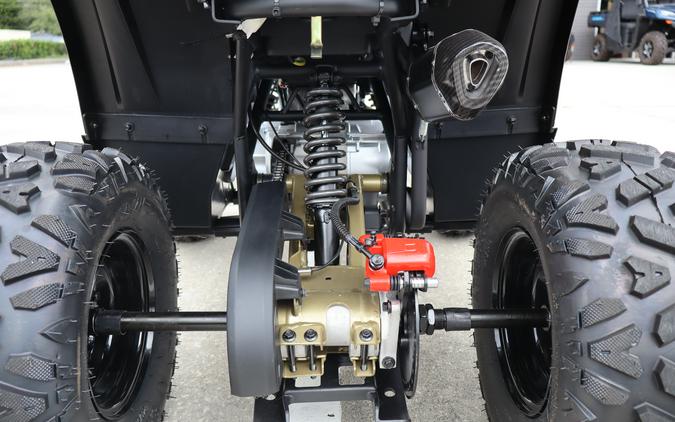 2026 Denago Powersports Mudhawk 10FI