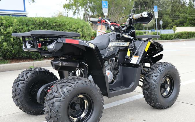 2026 Denago Powersports Mudhawk 10FI