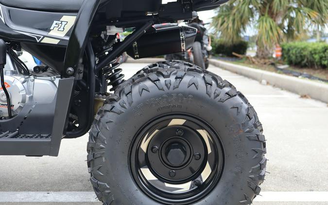 2026 Denago Powersports Mudhawk 10FI