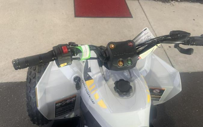 2026 Can-Am® Renegade 110 EFI