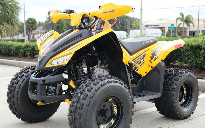 2026 Denago Powersports Trailhawk 10FI
