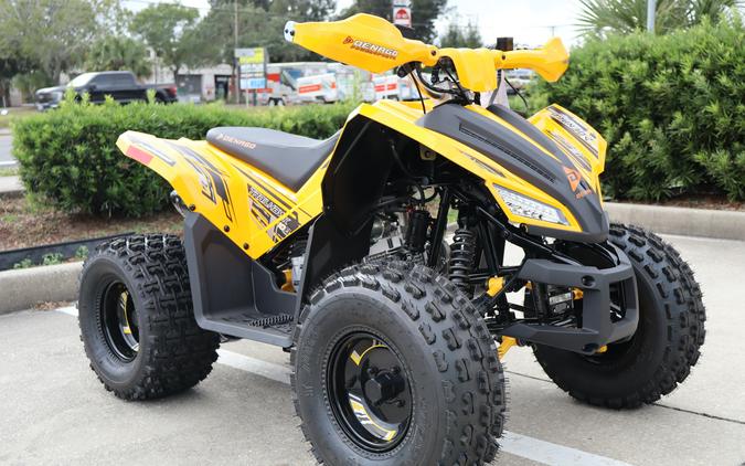 2026 Denago Powersports Trailhawk 10FI