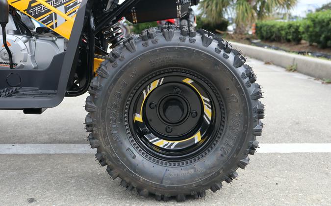 2026 Denago Powersports Trailhawk 10FI