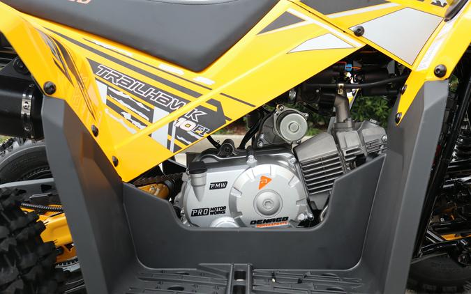 2026 Denago Powersports Trailhawk 10FI