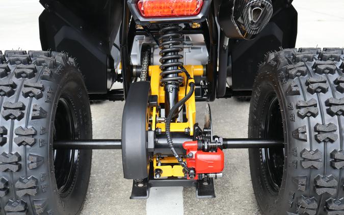 2026 Denago Powersports Trailhawk 10FI