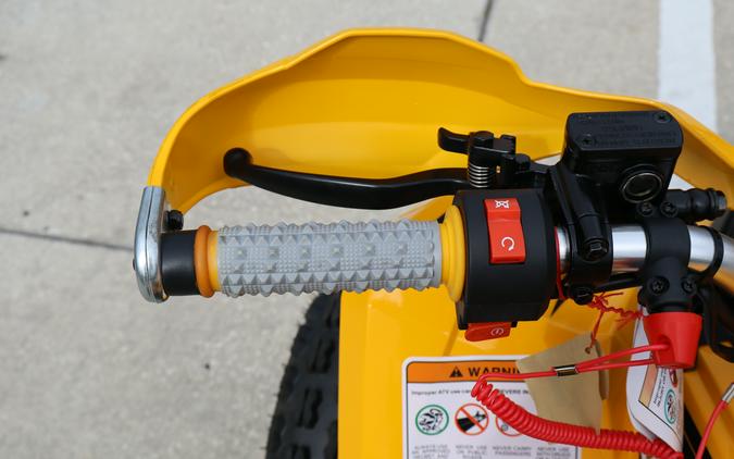 2026 Denago Powersports Trailhawk 10FI