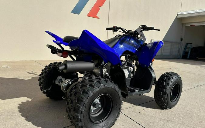 2024 Yamaha Raptor 110