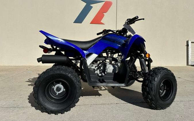 2024 Yamaha Raptor 110