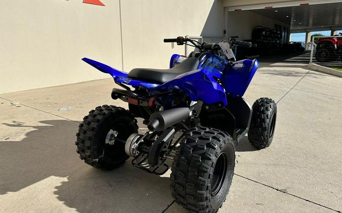 2024 Yamaha Raptor 110