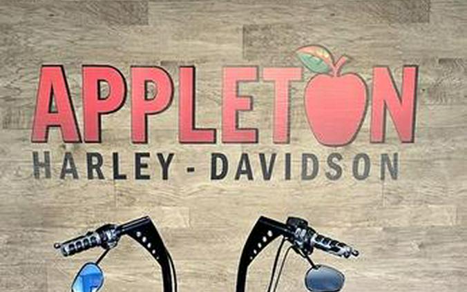 2008 Harley-Davidson® FXSTB - Night Train™