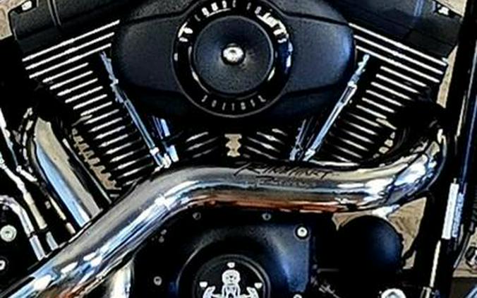 2008 Harley-Davidson® FXSTB - Night Train™