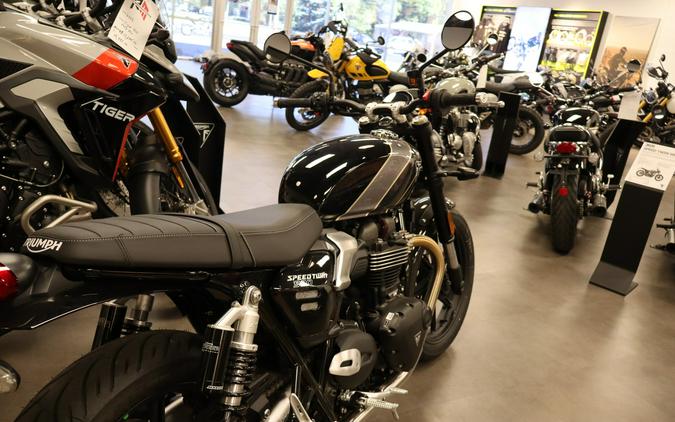2026 Speed Twin 900 - Triumph