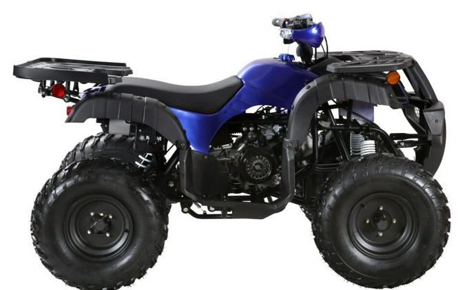 2026 Coolster ATV-3200U
