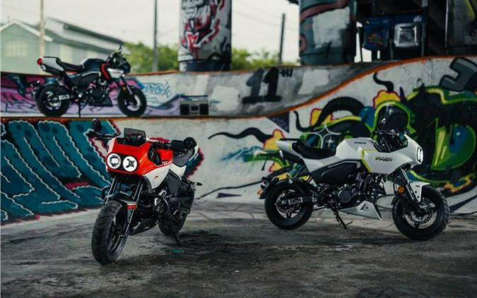 2024 CFMOTO Papio SS