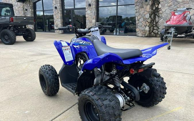 2026 Yamaha Raptor 110