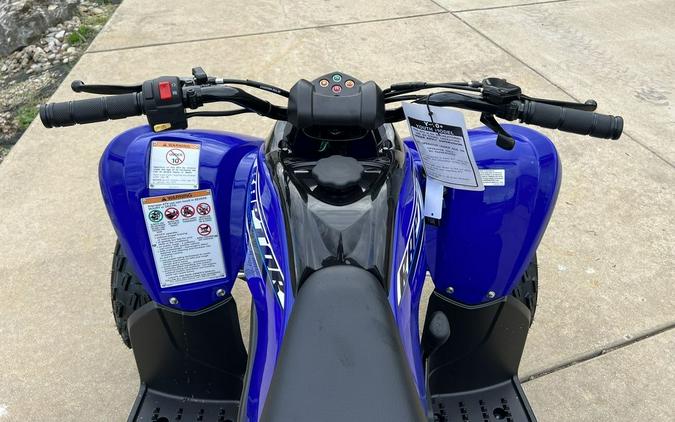 2026 Yamaha Raptor 110
