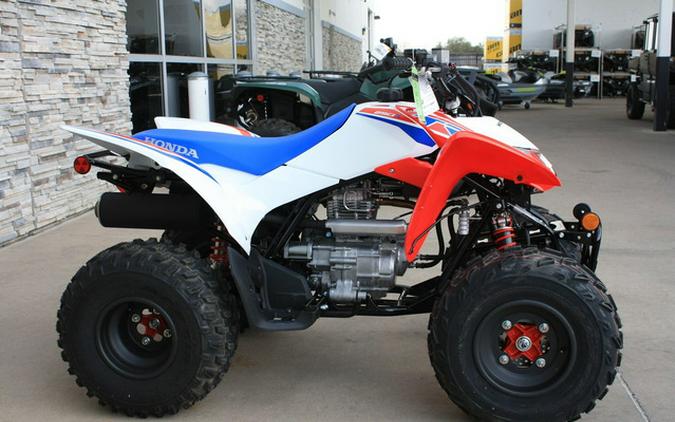 2026 Honda TRX 250X