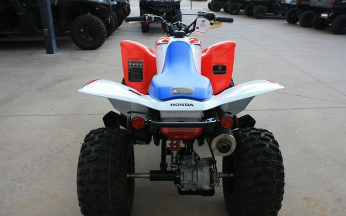 2026 Honda TRX 250X