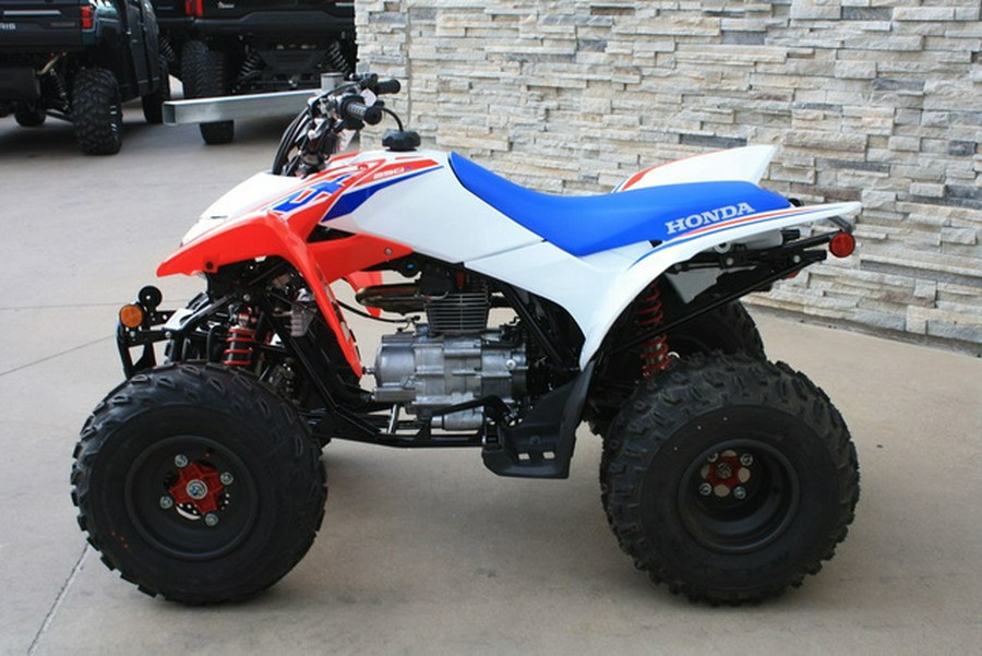 2026 Honda TRX 250X