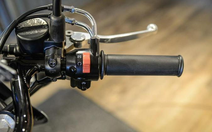 2020 Kawasaki W800 Cafe