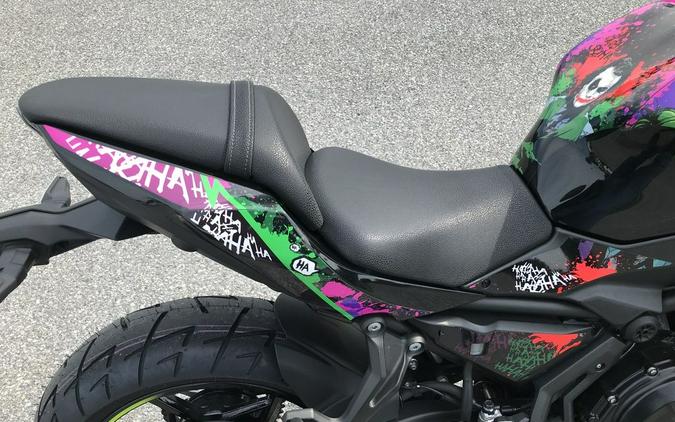 2024 Kawasaki Z650