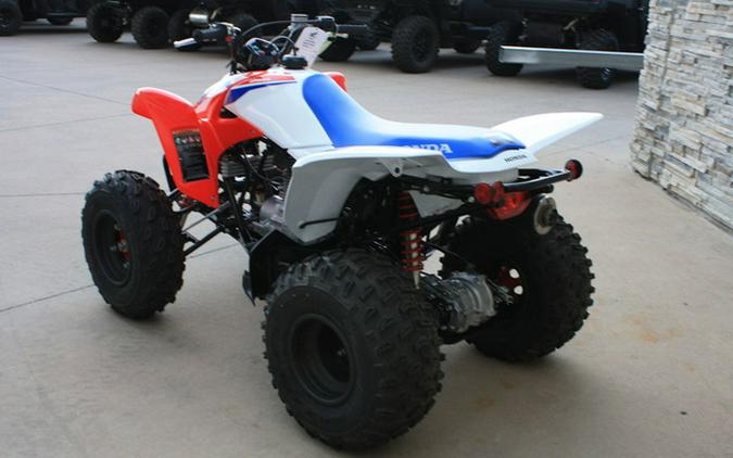 2026 Honda TRX 250X