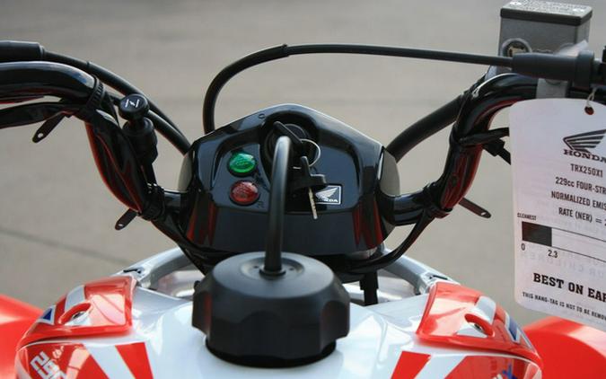 2026 Honda TRX 250X