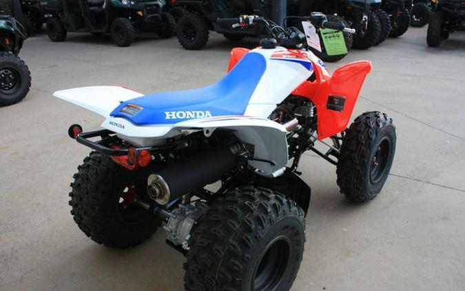 2026 Honda TRX 250X