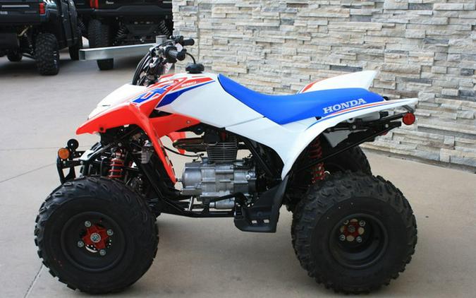 2026 Honda TRX 250X