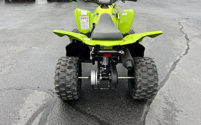 2026 Yamaha Raptor 110