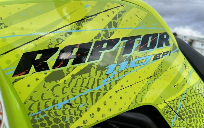 2026 Yamaha Raptor 110
