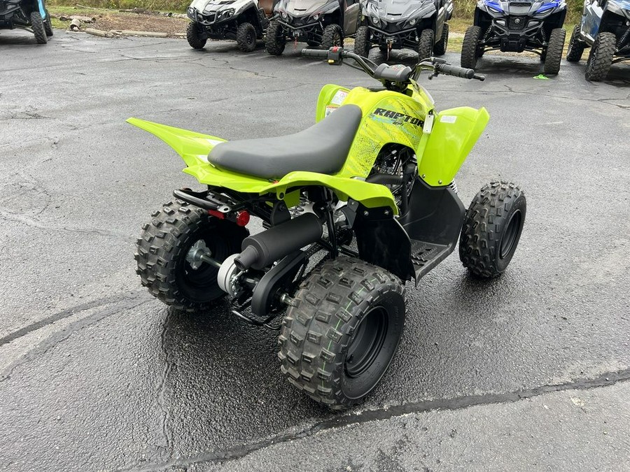 2026 Yamaha Raptor 110