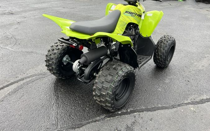 2026 Yamaha Raptor 110