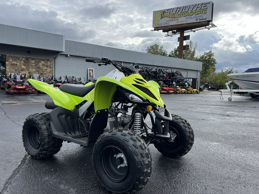 2026 Yamaha Raptor 110