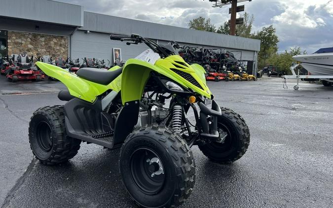 2026 Yamaha Raptor 110