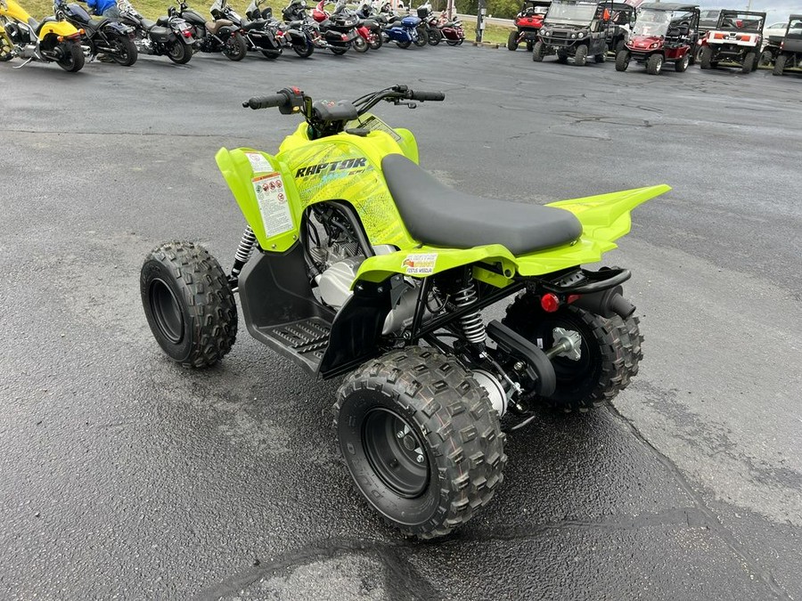 2026 Yamaha Raptor 110