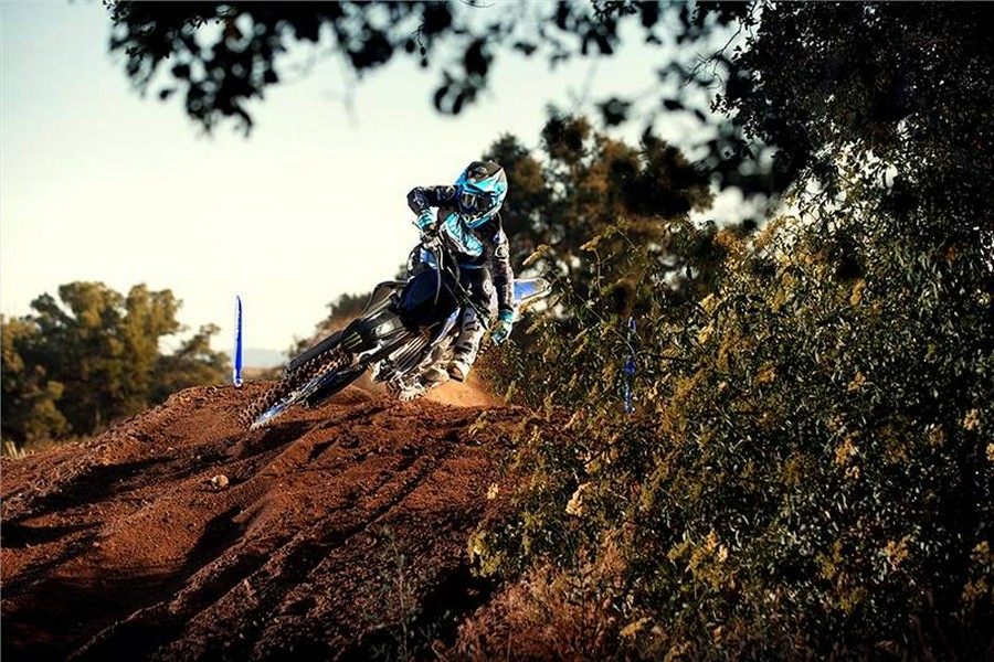 2027 Yamaha YZ250F MONSTER ENERGY EDITION