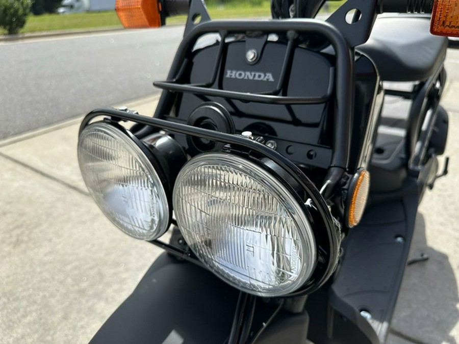 2024 Honda Ruckus