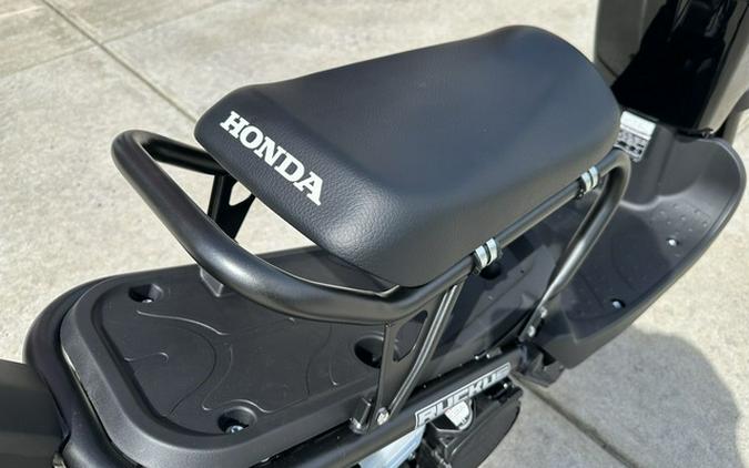 2024 Honda Ruckus