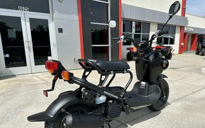 2024 Honda Ruckus