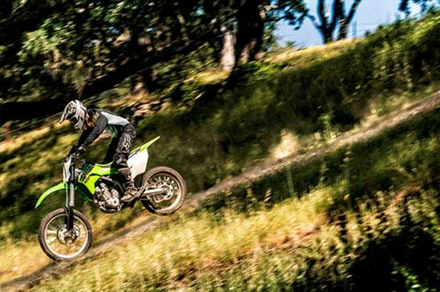 2021 Kawasaki KLX 300R